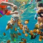Snorkeling & Diving di Nusa Penida