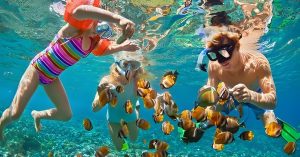 Snorkeling & Diving di Nusa Penida